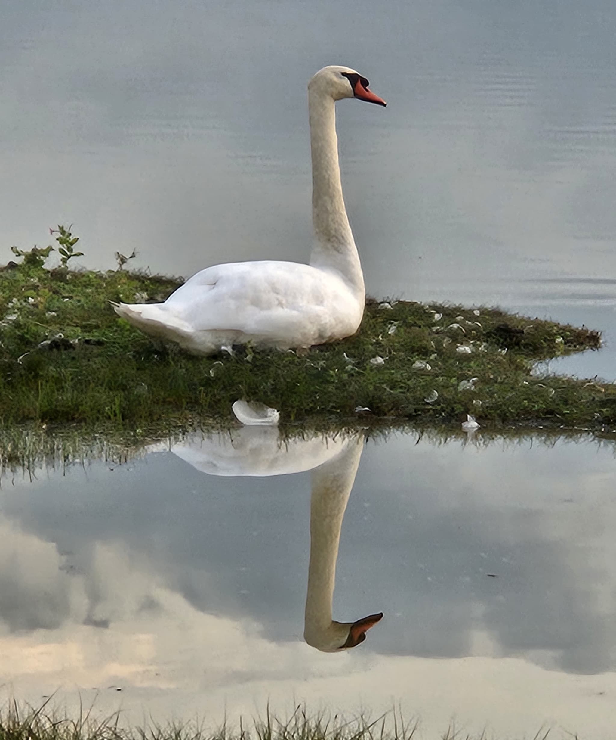 activités nautiques