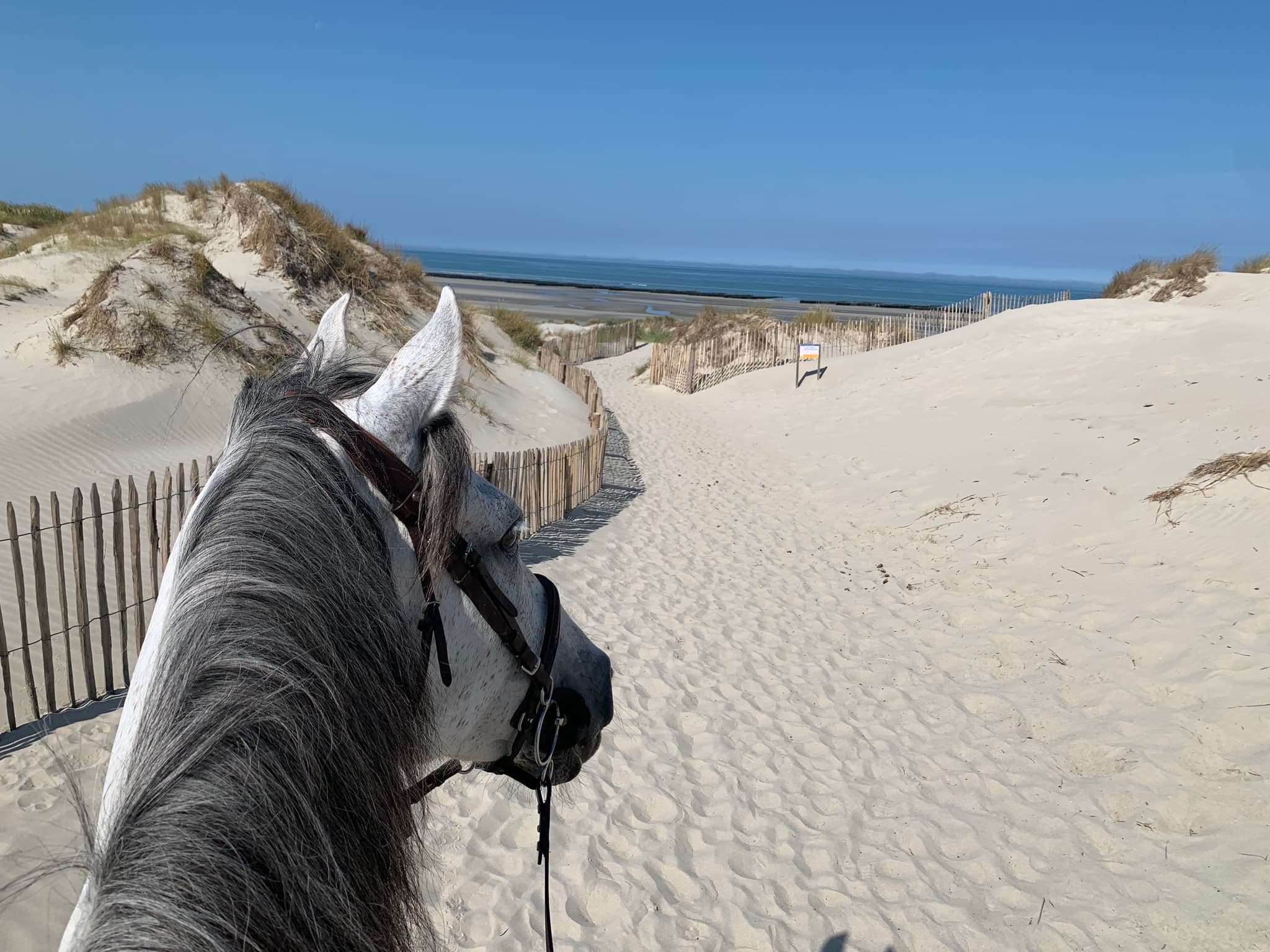 activités terrestres